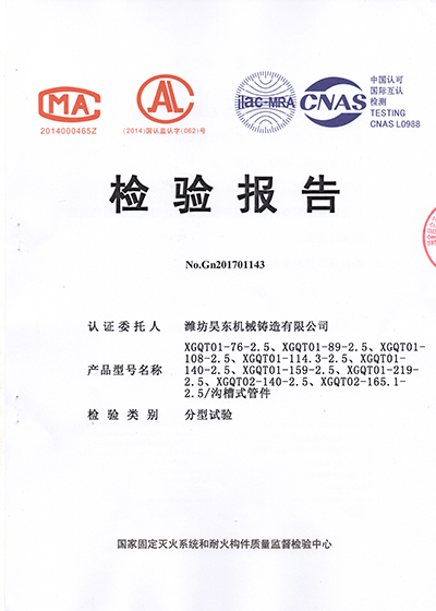 彎頭檢驗報告
